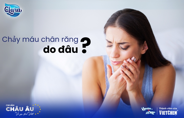 Chảy máu chân răng do đâu? Dấu hiệu và cách xử lý hiệu quả