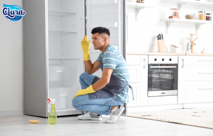 Mẹ vắng nhà - Bố cũng có thể chăm sóc ngôi nhà chu toàn cùng với CLARA Châu Âu