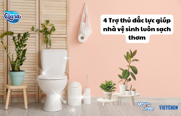 Điểm mặt 4 trợ thủ đắc lực giúp khử mùi hôi trong nhà vệ sinh hiệu quả