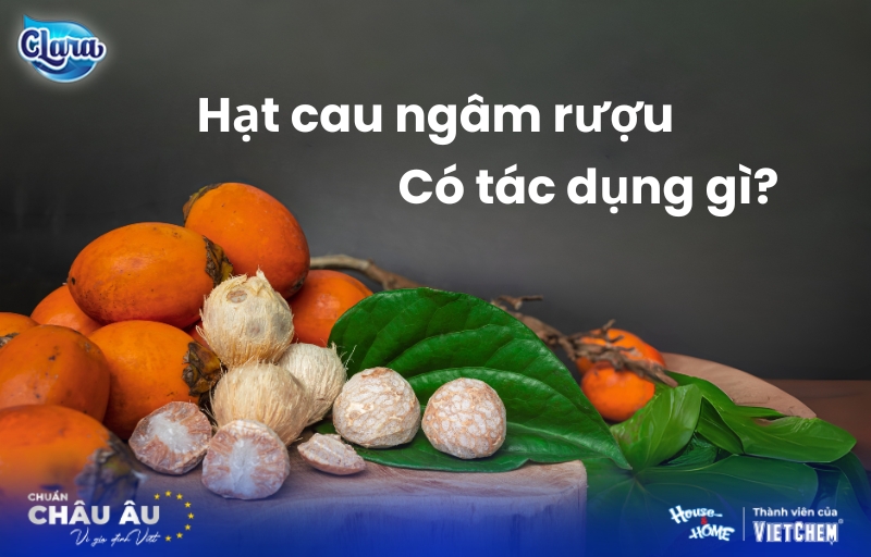 Hạt cau ngâm rượu có tác dụng gì? Cách dùng & Lưu ý từ chuyên gia