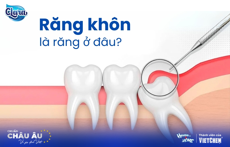 Răng khôn là răng ở đâu? Giải mã vị trí và những vấn đề răng miệng liên quan