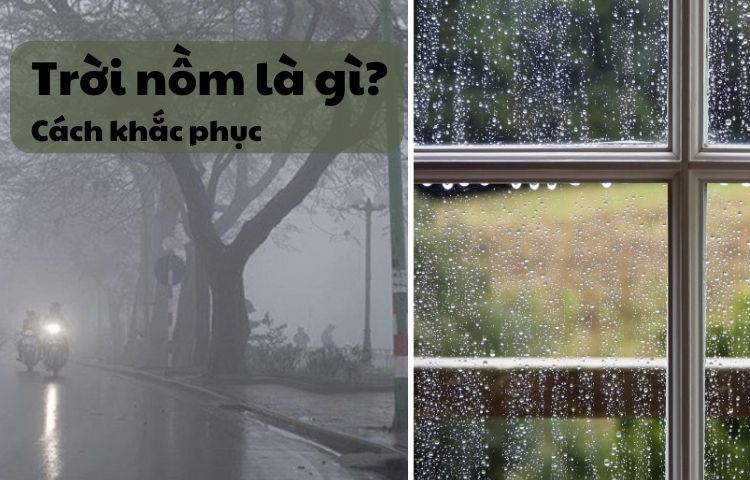Trời nồm là gì? Cách khắc phục hiện tượng nhà bị nồm ẩm hiệu quả