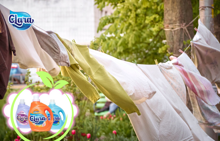 Nước giặt xả Clara đạt chuẩn Châu Âu và hành trình sống xanh, an toàn