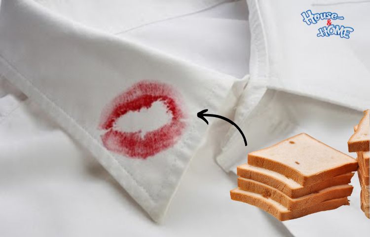 Dùng bánh mì sandwich để tẩy vết son