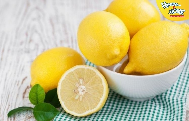 Tẩy mực bút bi bằng chanh tươi
