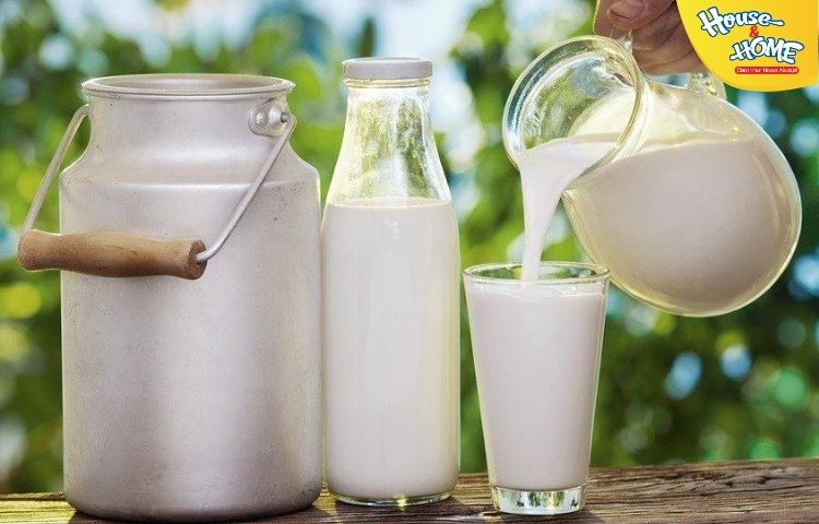 Tẩy vết mực bút bi bằng sữa