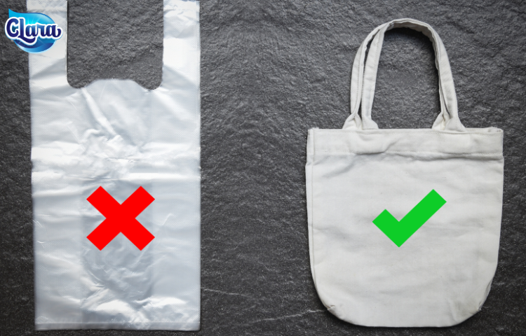 clara chinh phục lối sống zero waste