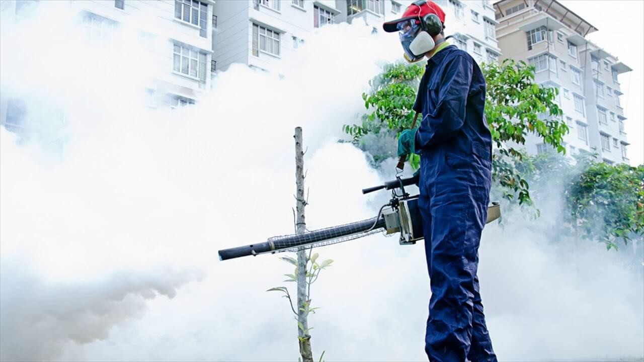 Sử dụng thuốc xịt diệt côn trùng để hạn chế bị côn trùng đốt