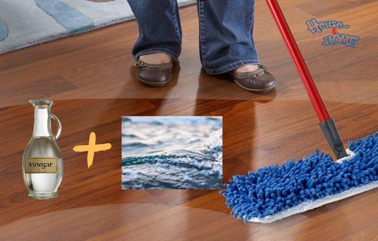 Lau sàn bằng dung dịch giấm pha với nước
