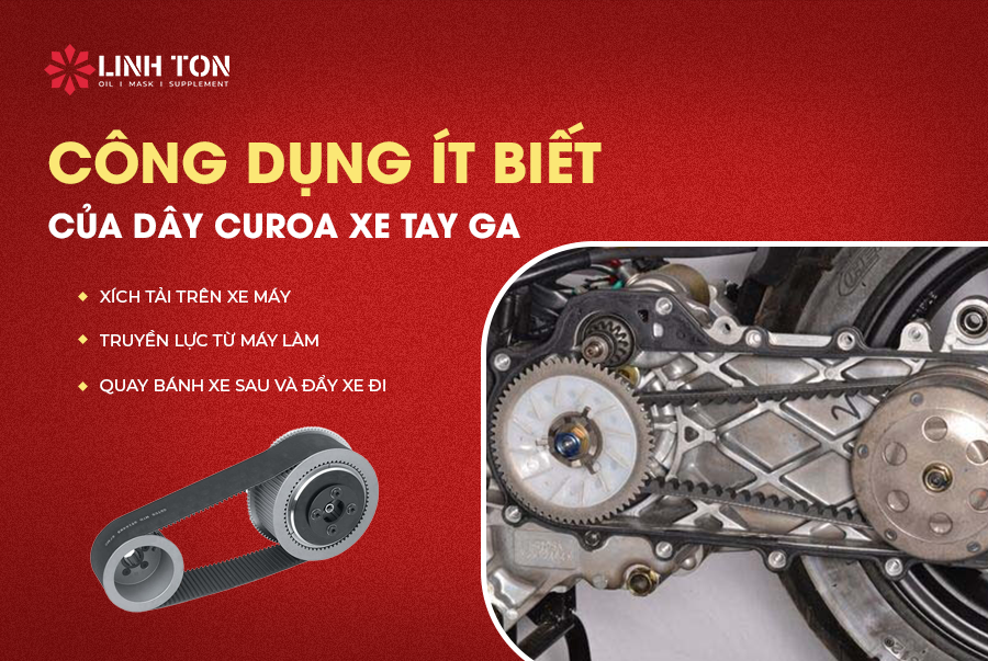 Những Công Dụng Ít Ai Biết Của Dây Curoa
