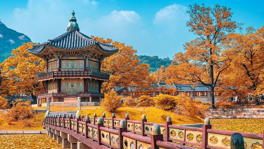 chi phí du lịch hàn quốc theo tour