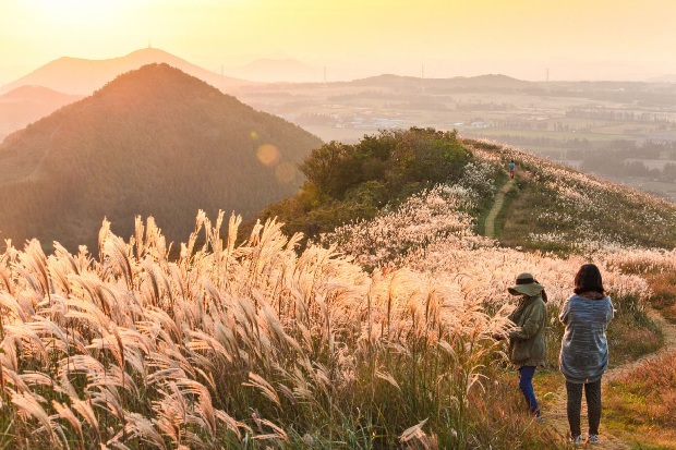 Giá tour du lịch Hàn Quốc 6 ngày 5 đêm