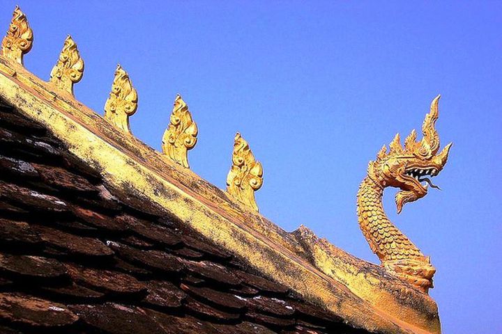 rắn thần naga