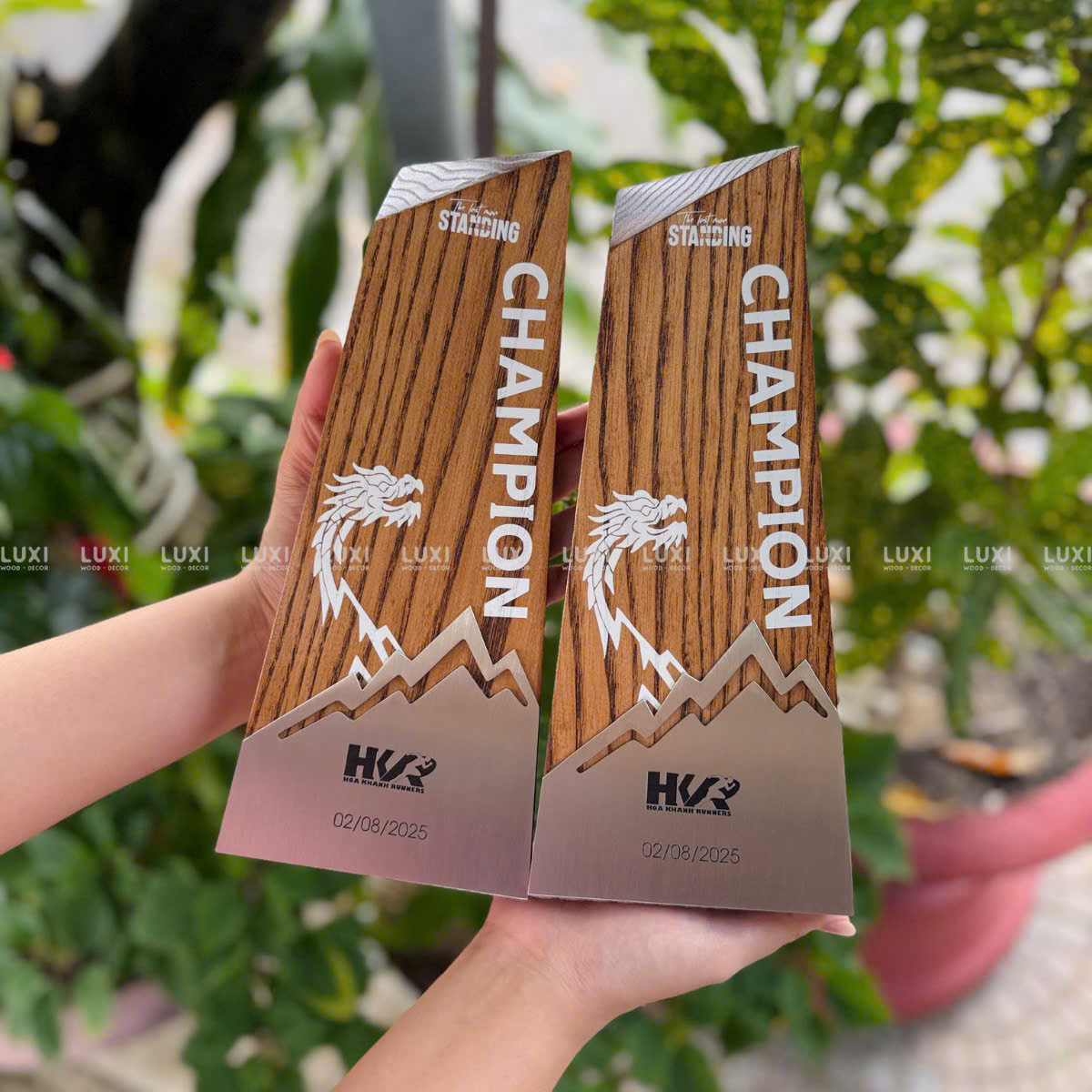 Cúp Gỗ Vinh Danh, Huy Chương