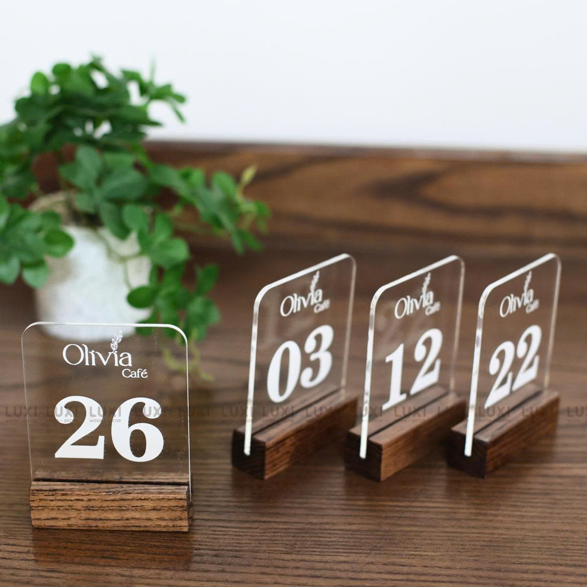 COMBO 10 THẺ BÀN MICA GIÁ RẺ - LUXI DECOR