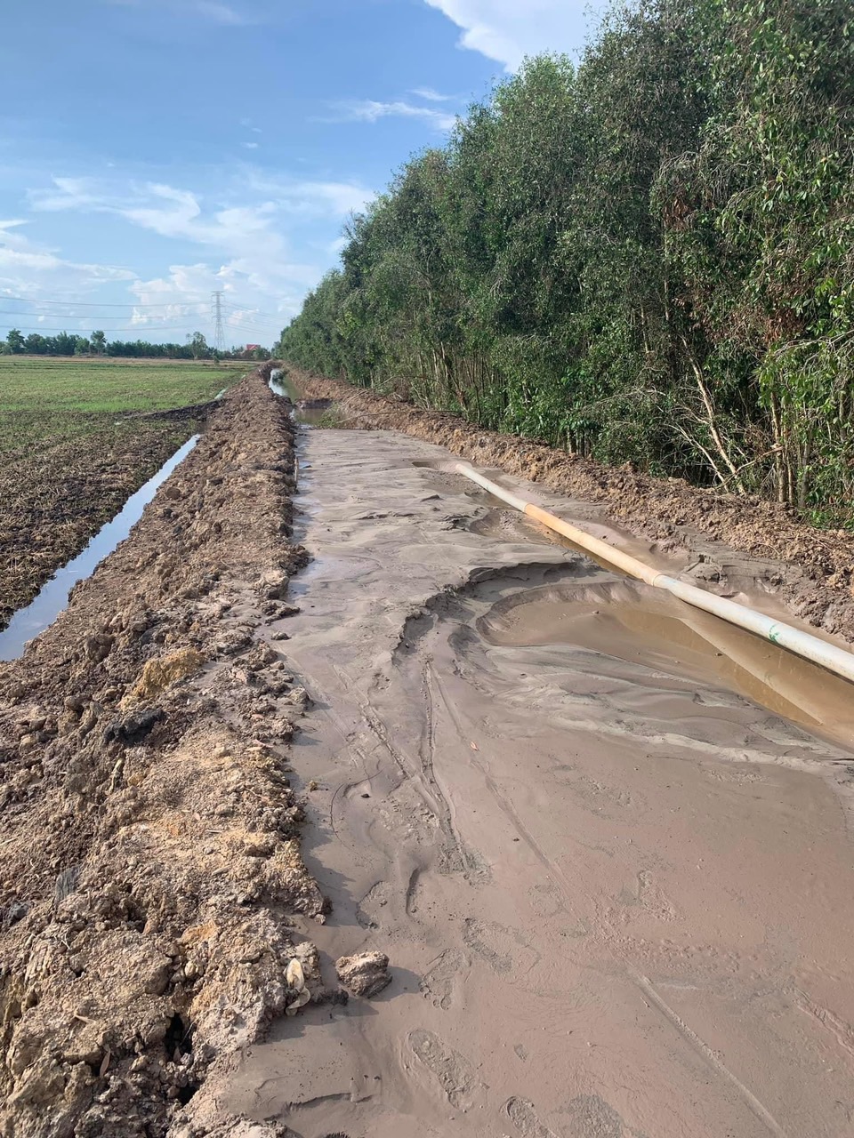 SAN LẤP LỘ TẠI TỈNH LONG AN