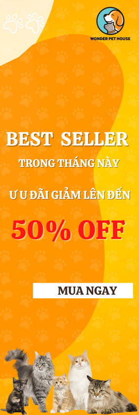 Đông hồ thông minh