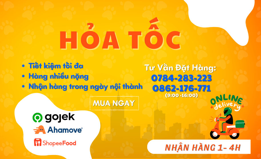 Khuyến mãi lớn chào xuân