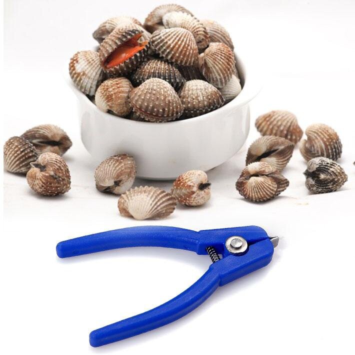 Bộ 4 Dụng Cụ Tách Sò Huyết Dragon