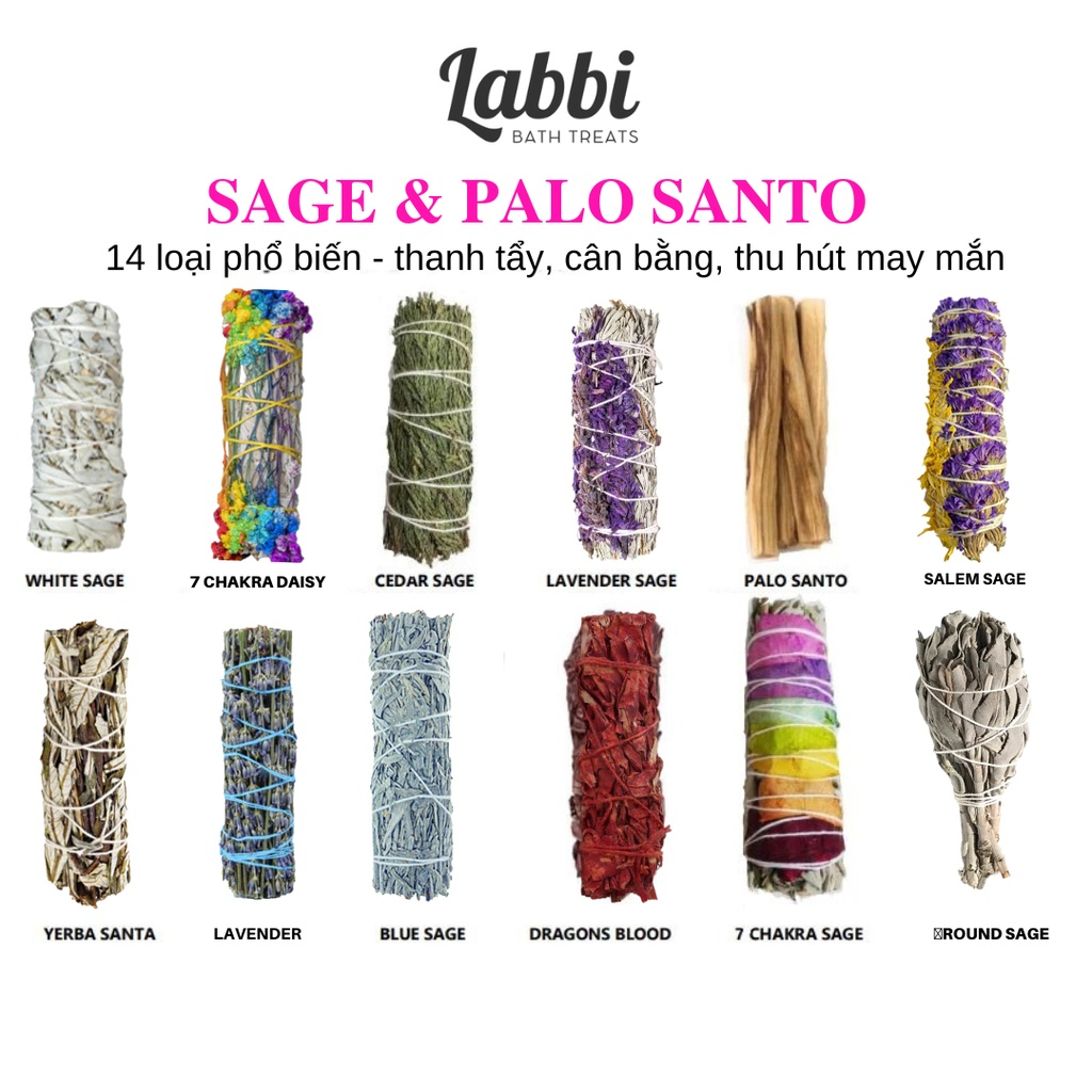 SAGE & PALO LABBI XÔ CHAKRA 7 MÀU