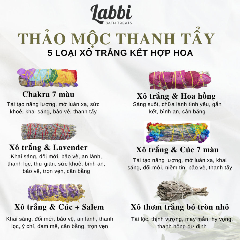 SAGE & PALO LABBI XÔ XANH