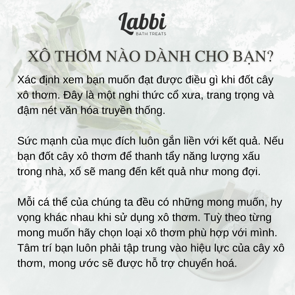 SAGE & PALO LABBI XÔ XANH