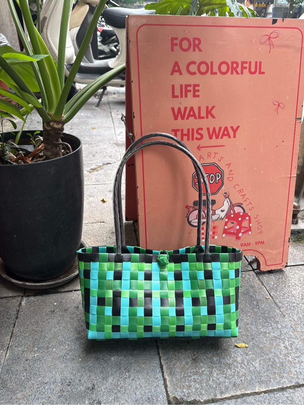 Làn Xanh Teal Líu Lô 265