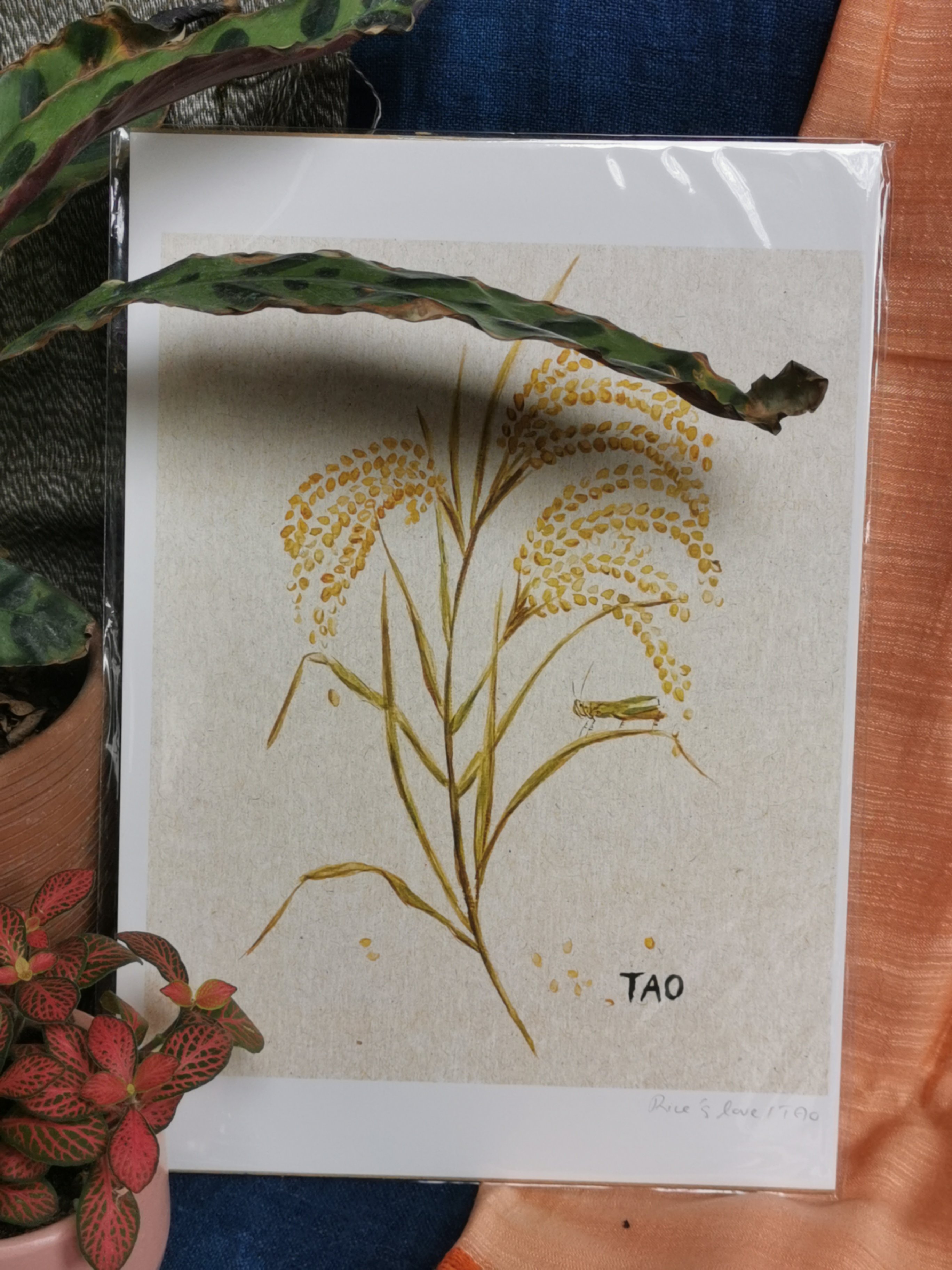 Tranh Tao Rice's Love A4