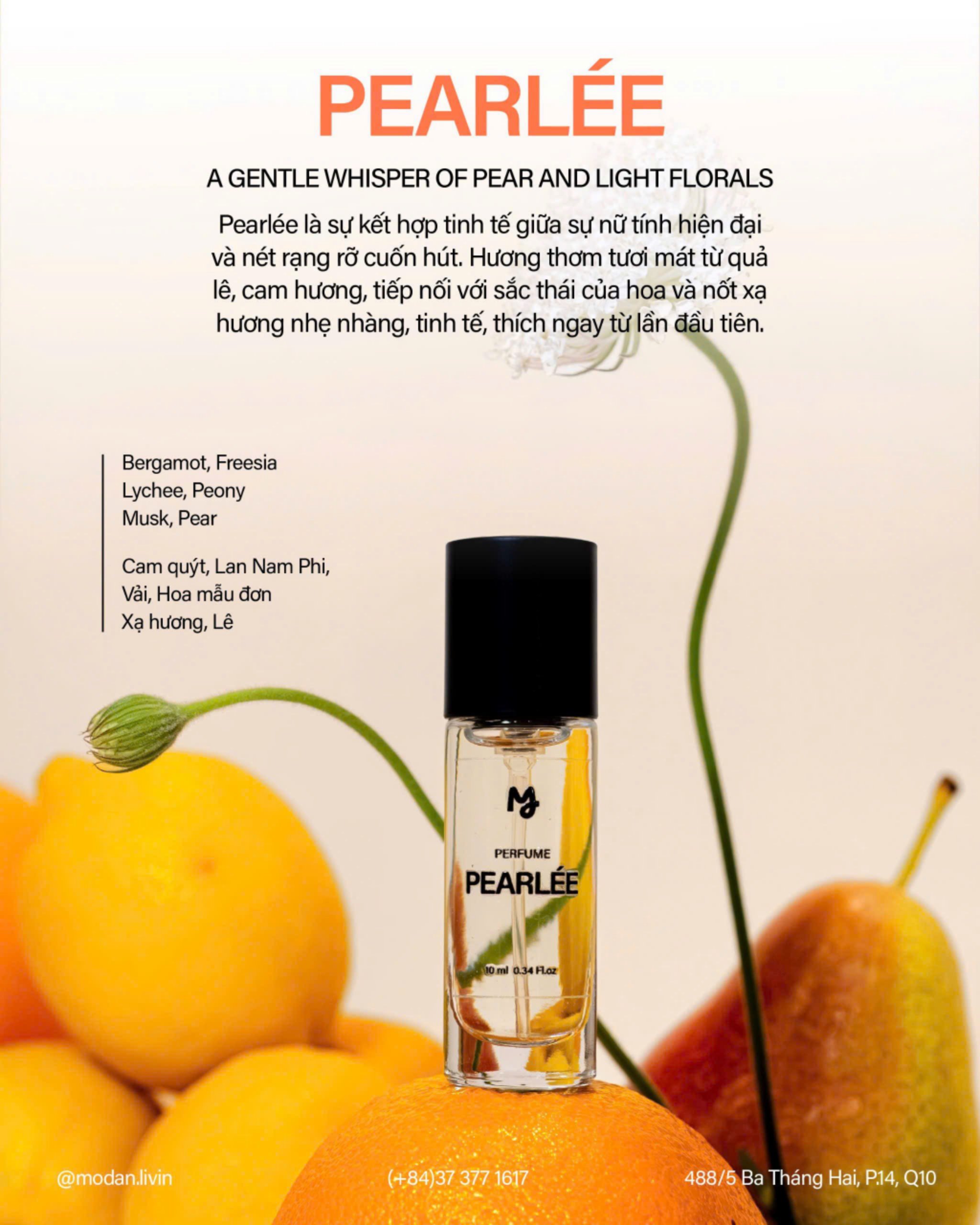NƯỚC HOA ( Pearlee ) Modan