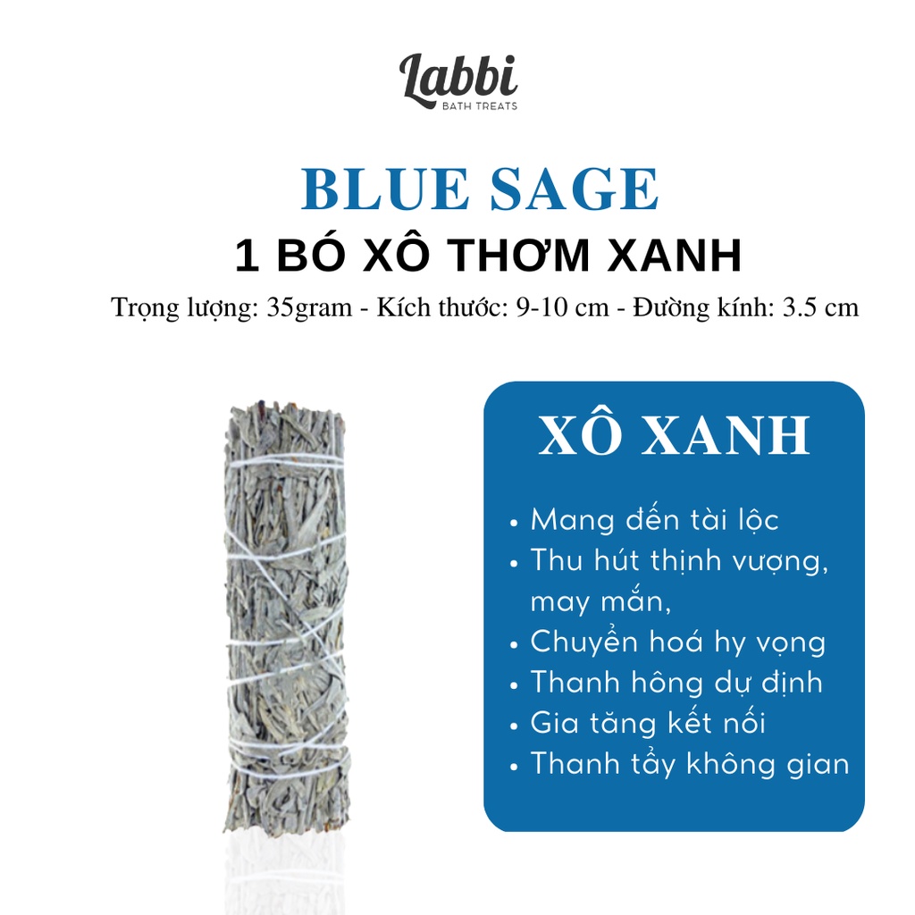 SAGE & PALO LABBI XÔ XANH