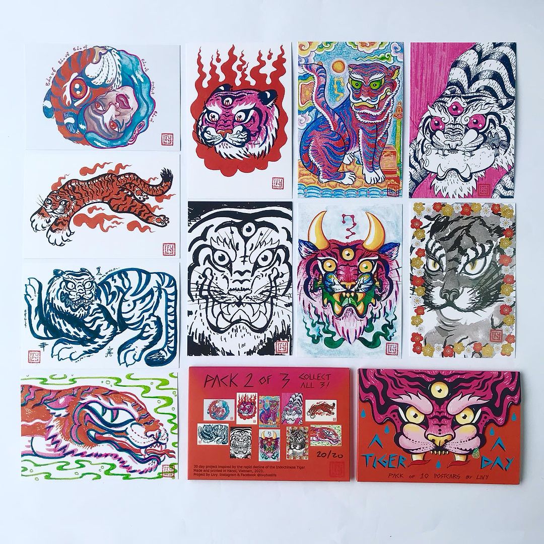 Set 3 Postcards A Tiger A Day Livy