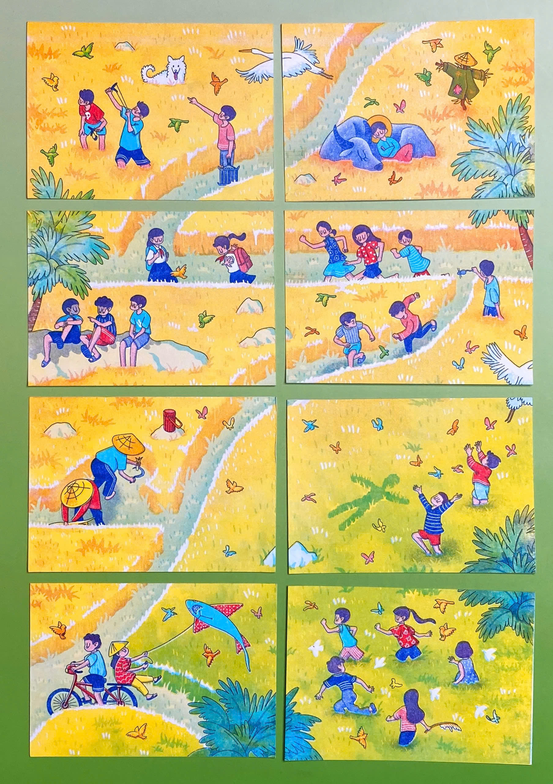 Postcard Ruộng Lộn Xộn