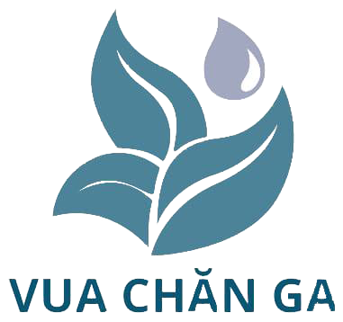 Vua chăn ga - Nâng niu từng giấc ngủ