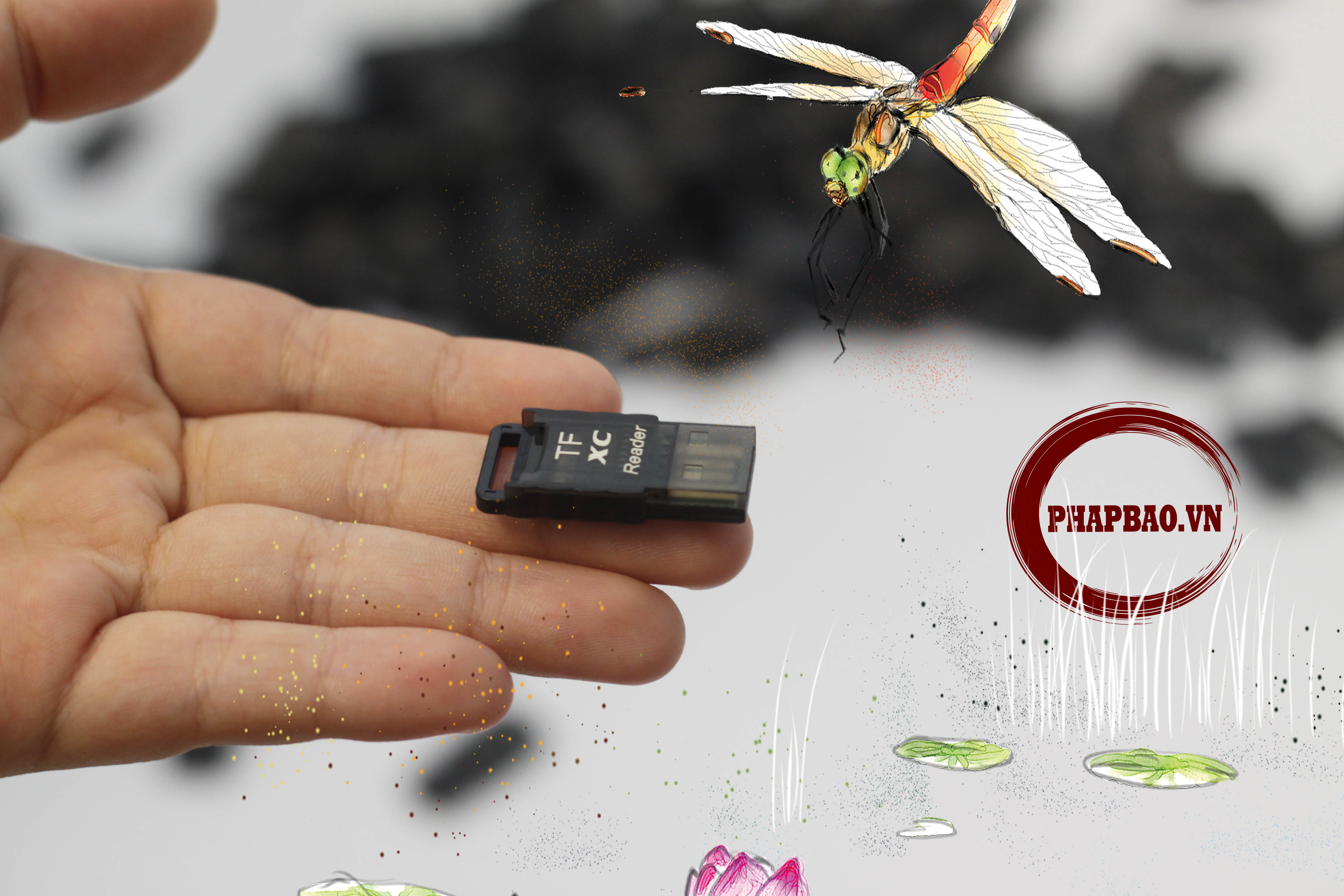 Đầu đọc thẻ nhớ Micro SD