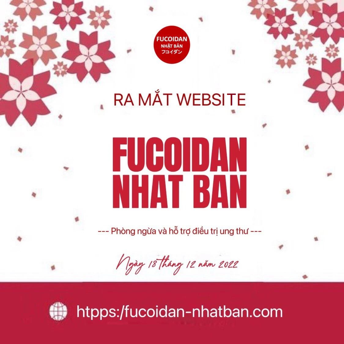 RA MẮT WEBSIDE FUCOIDAN NHẬT BẢN