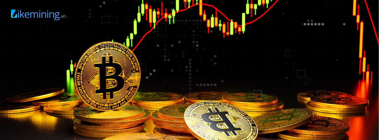 Sản phẩm nổi bật