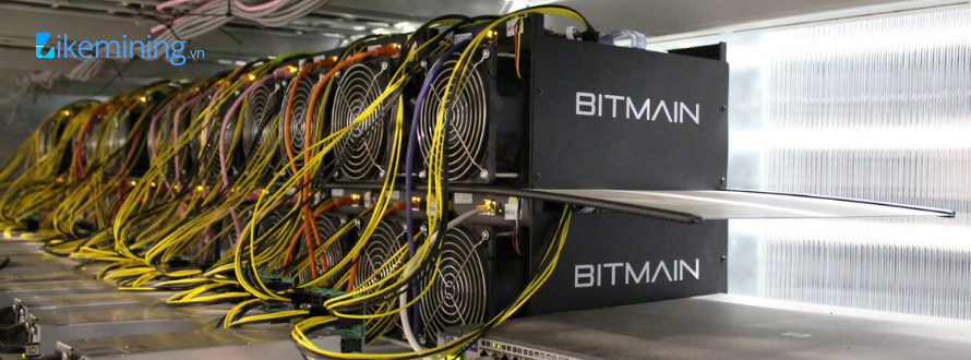 Khuyến mãi lớn chào xuân