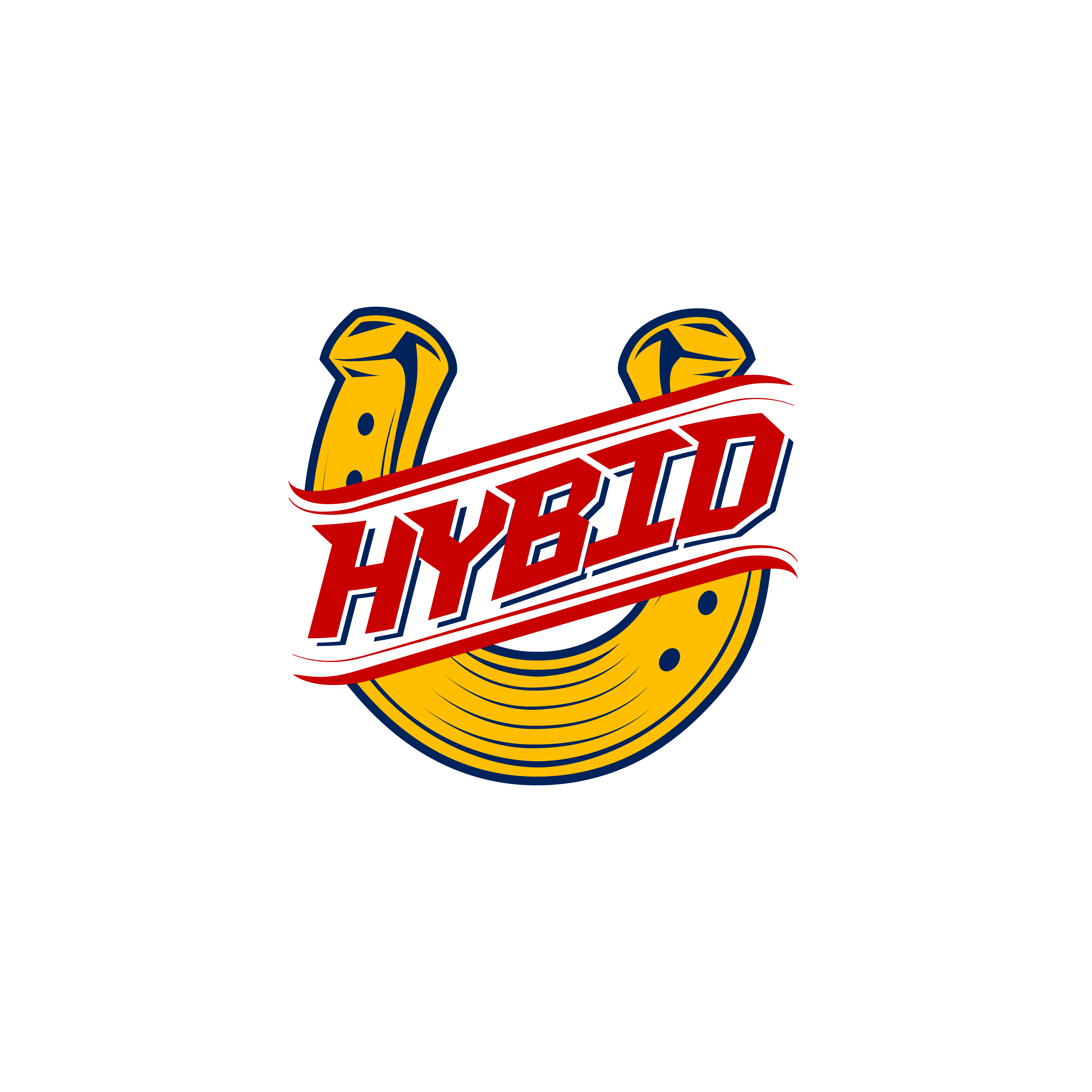 logo HYBID
