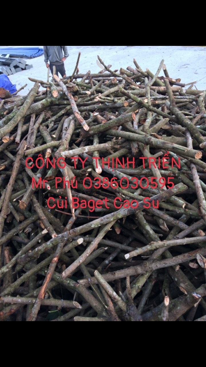 Củi Baget Cao Su