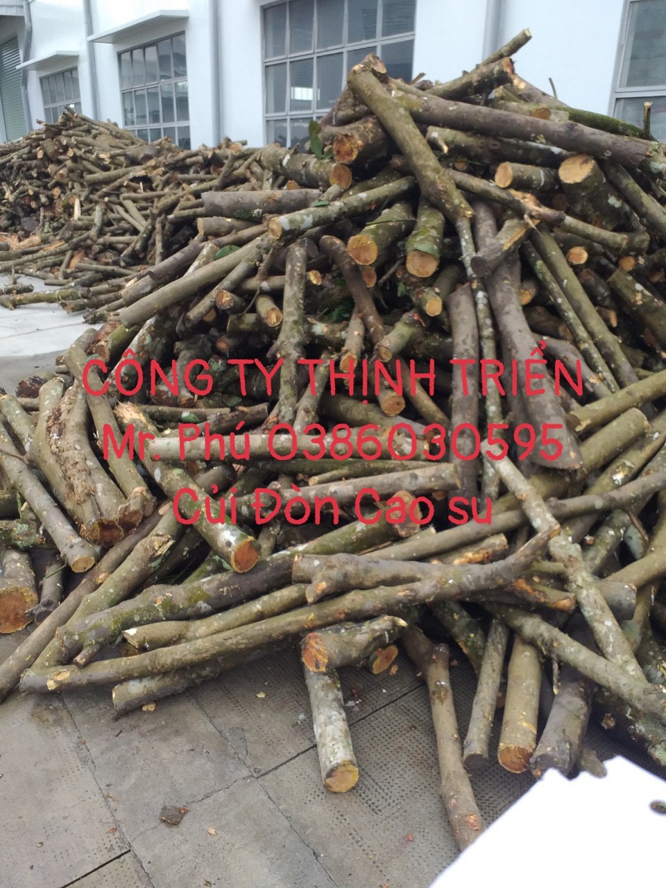 Củi Đòn Cao Su