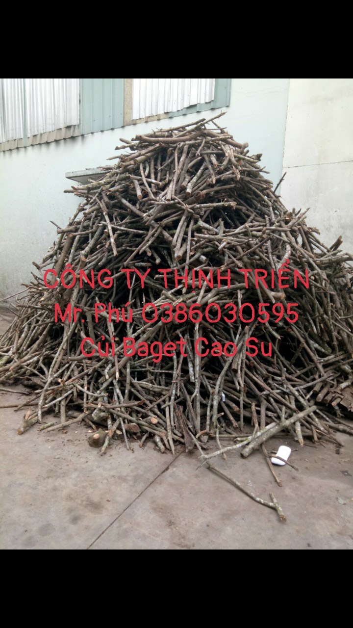 Củi Baget Cao Su