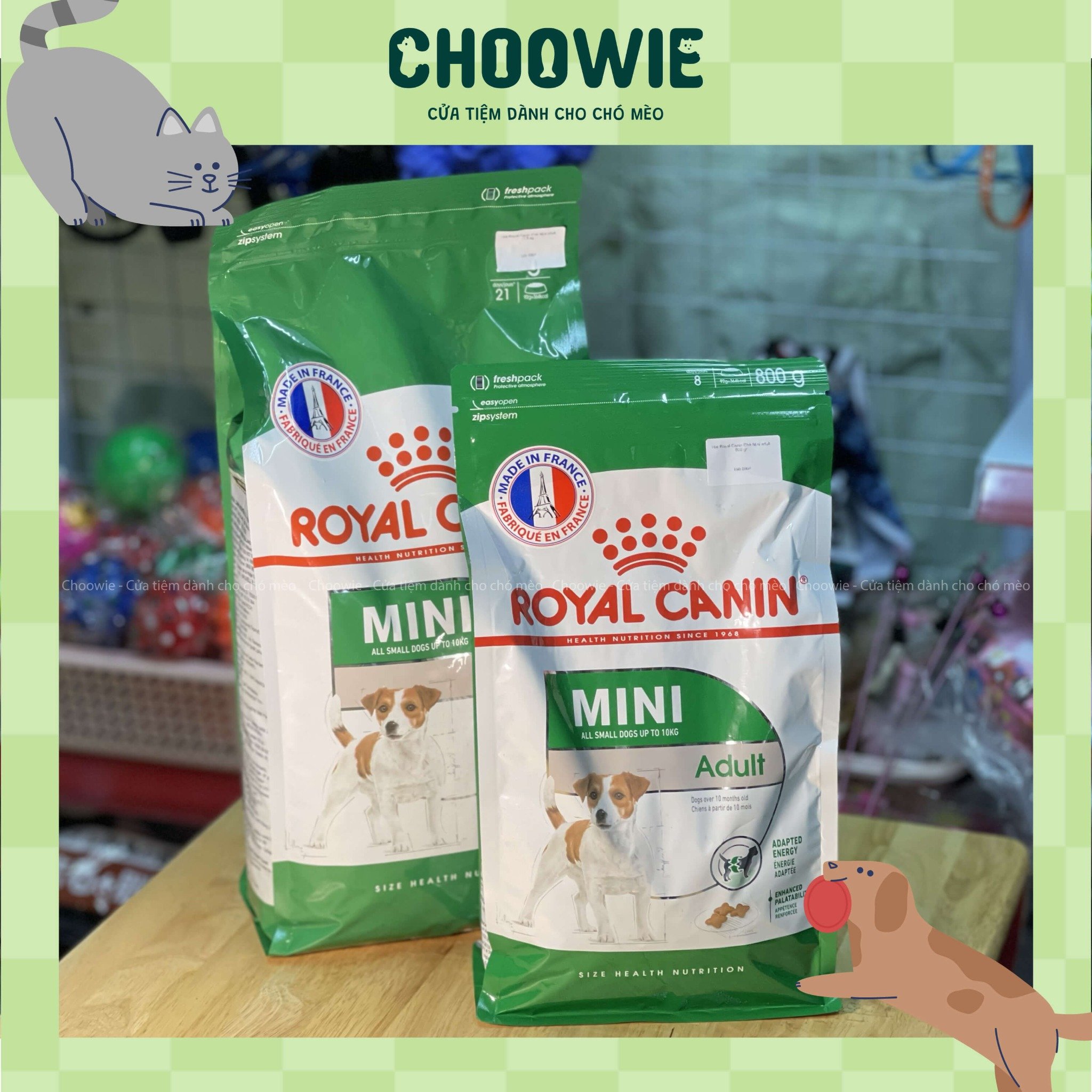 Hạt Royal Canin Chó Mini adult