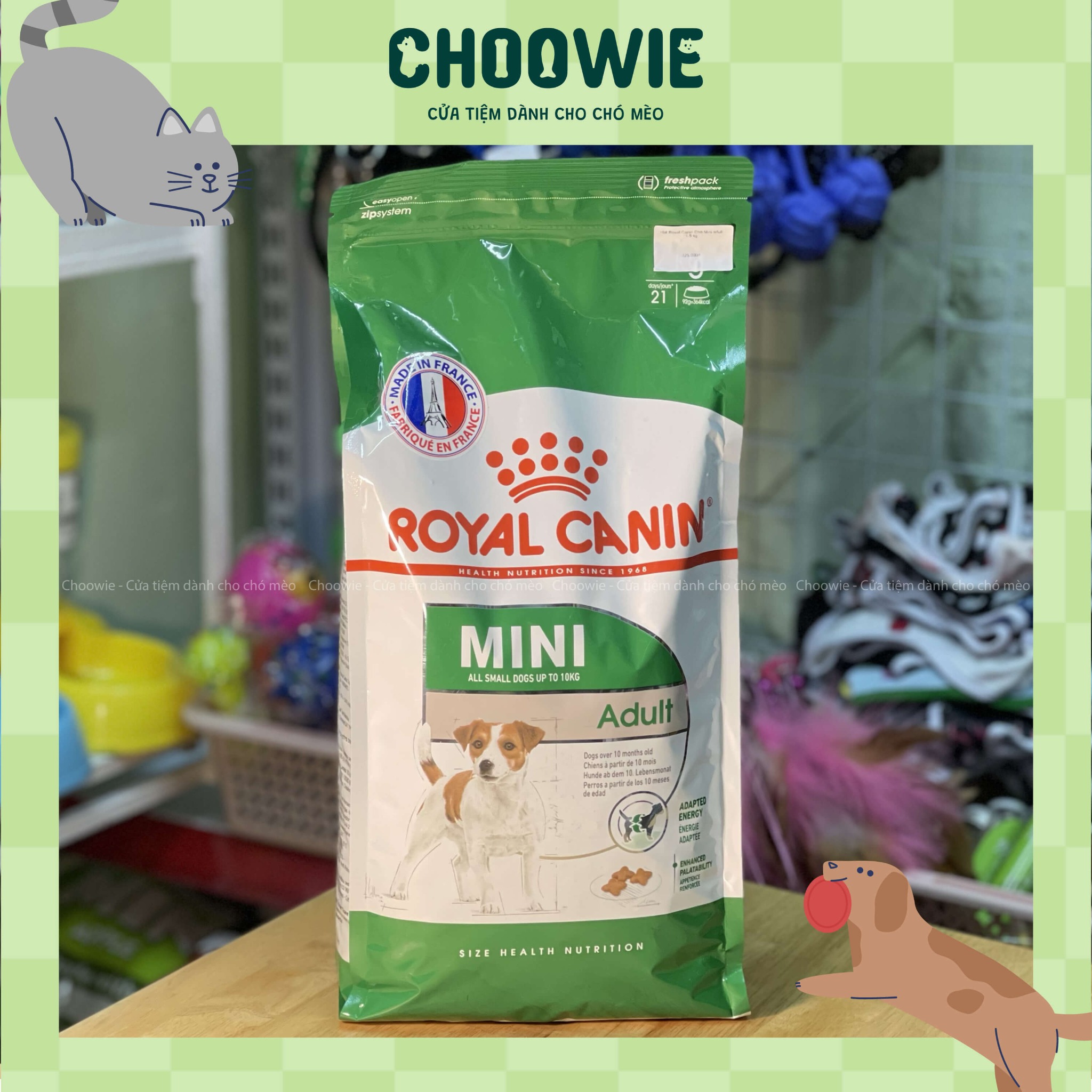 Hạt Royal Canin Chó Mini adult