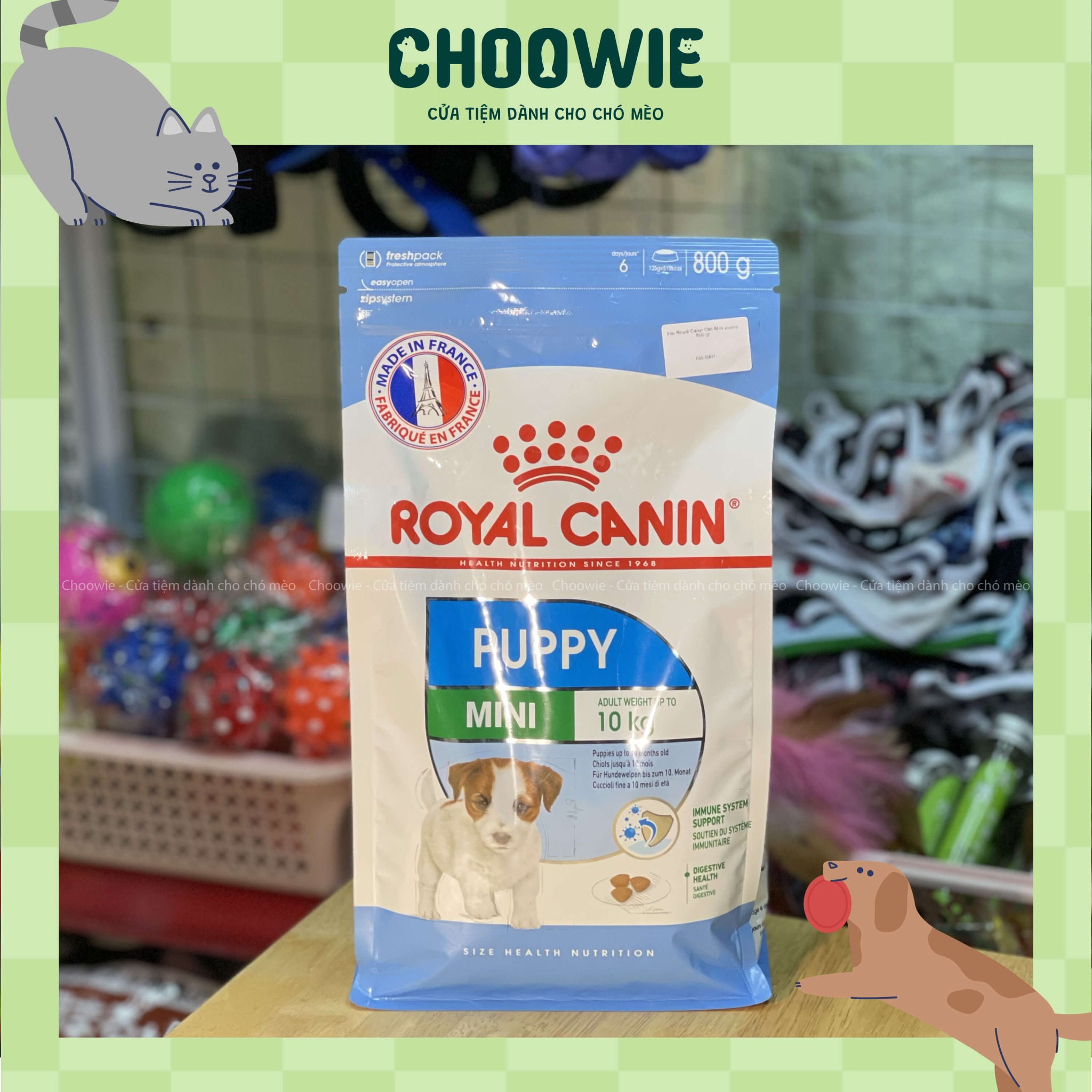 Hạt Royal Canin Chó Mini puppy