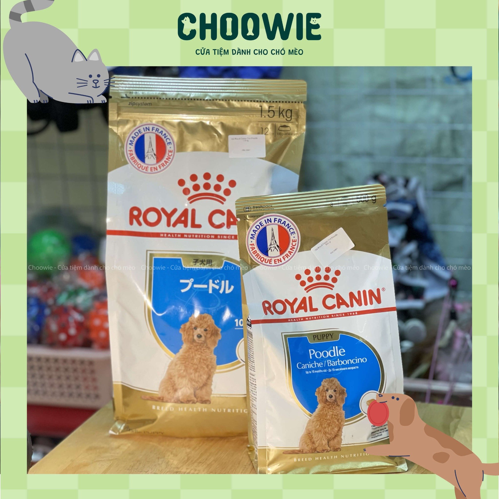 Hạt Royal Canin Chó Poodle Nhỏ