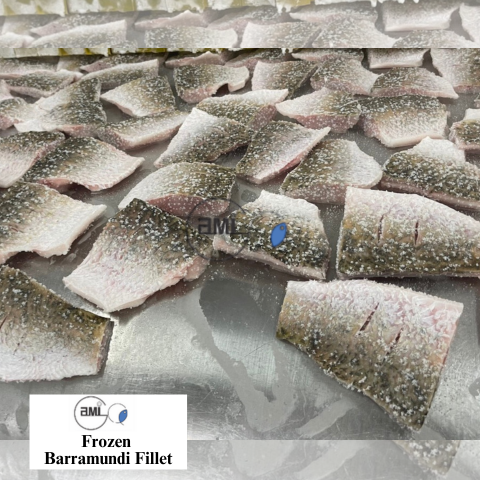 Frozen Barramundi Fillet