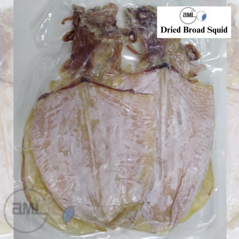 Dried Broad Squid