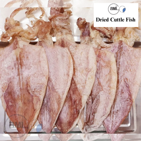 Dried Cuttle Fish