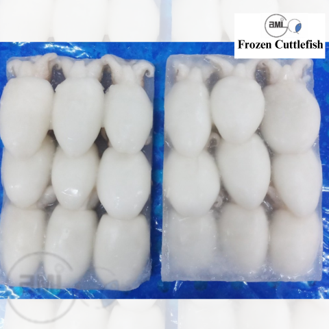 Frozen Cuttlefish