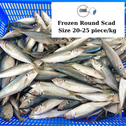 Frozen Round Scad